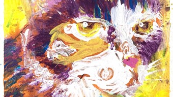12 Horrible Cat Paintings to Break an Artistic Block