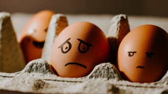Post-Move Part 6: School Worries...