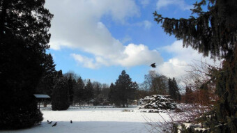 Beautiful, dynamic winter weather
