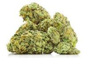 Experience on weed