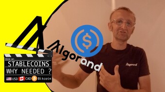 StableCoin : What's The Buzz with Stablecoins and Algorand