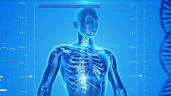 Physiotherapy, Chiropractic & Osteopathy, Is It All the Same?