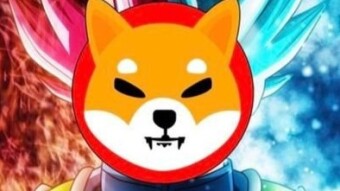 SHIBA INU STILL A GOLD MINE