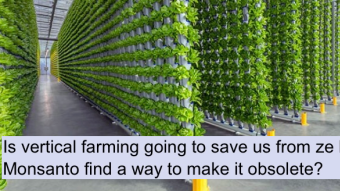 Can Vertical Farming Save Us? | 4chan greentext