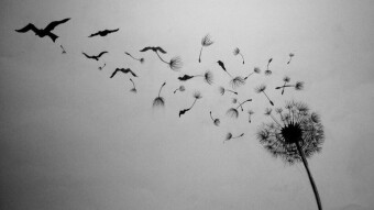 To Be - Not To Be...