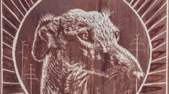 El perro de mar "Cuentos Cortos"