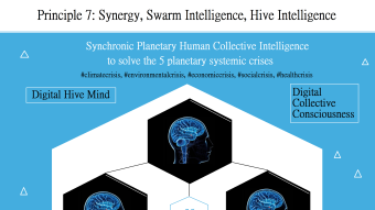 Principle 7: Synergy, Swarm Intelligence, Hive Intelligence (Hive mind) [-25 days to start #Synchronism] [8-432 Hz] #rigeneproject #PlanetaryOctet #DigitalDNA