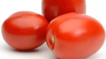 How To Plant Organic Rio Grande Tomatoes In Sub Saharan Africa (Sauce Tomato)
