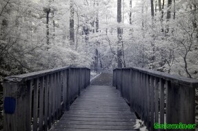 Infrared Photography - Stream by the lake