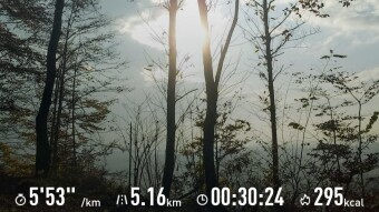 rainy run [Exhaust Running Community Report, November 16th 2020]