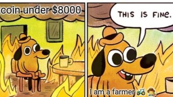 Time to farm! Ready to harvest!
