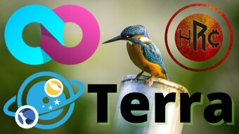 Loop: DeFi e Social su TERRA