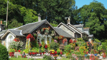 10 Tips and Tricks for a Beautiful Garden