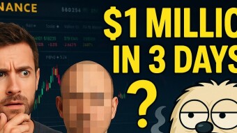 Otters Taking Over Crypto? DALPY COIN Rides Meme Wave into Southeast Asia Spotlight
