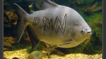 A Fish Named `Dawn'