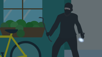 TOP 8: the world's dumbest criminals