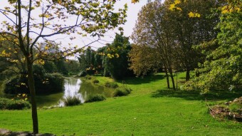 Trip to Portugal - Porto city park #2