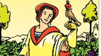 Mercury direct in the last degrees of Aries and the conjunction of Sun and Uranus gives us visibility in the changes and transformations of recent months. The 9 of Pentacles - 14/05/24