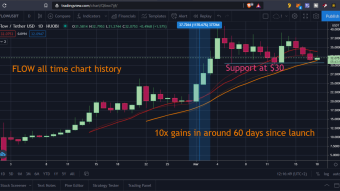NFT research – FLOW coin – learning from past mistakes