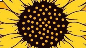 SUNFLOWER Finance Airdrop