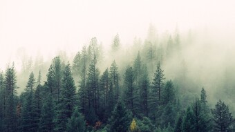 The Wendigo book review/recommendation