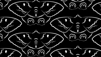 Death’s Butterfly: The Legend and Reality