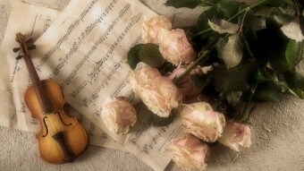 Prove violino n.4/Music practice n.4