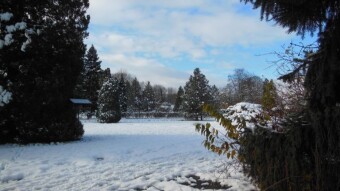 Wonderfully. Terrible winter is also beautiful - My Actifit Report Card: November 24 2024