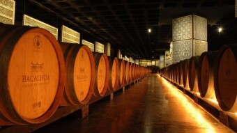 Portugal - Wine Routes