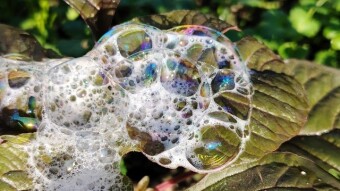 WATER DROPS
