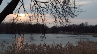 Another beautiful spring day - My Actifit Report Card: March 1, 2026