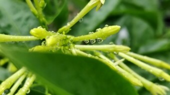 WATER DROPS Photography.