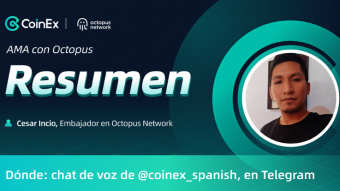 Resumen del AMA con Octopus