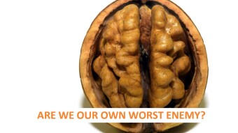 Are we our own worst enemy? A look at how psychology can affect our crypto trading