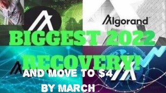 Will Algorand Crypto's Next Huge Move be up or down?