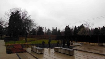 It's so grey and gloomy that it's almost funny - My Actifit Report Card: December 9, 2024