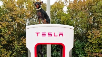 To Tesla Or Not To Tesla