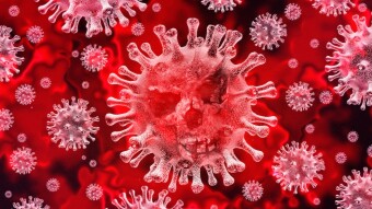 What harm does Coronavirus cause to the body.