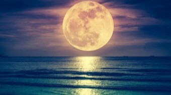 Ornery Haiku: Super Flower Moon