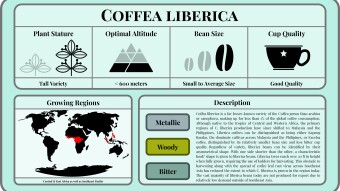 Conscious Caffeine #5 - Coffea liberica