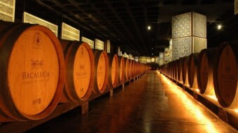 Visit Portugal - Wine Routes