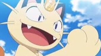 Wynaut Finance - Pokemon fever