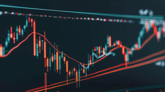 Why is DOGE up Today?