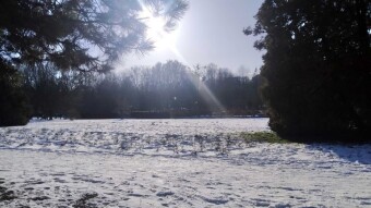 Wintery but pleasant - My Actifit Report Card: January 3, 2026