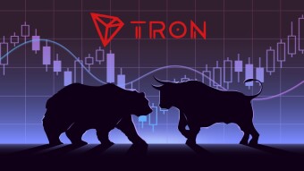 A Second Look At BullsVsBears.IO - Daily (TRX) Dividends & PvP Trading