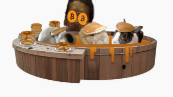 Hello, Pancake Finance, this is Clem Fandango here. Can you hear me? 140% APR is nooice, but what do I do with these Syrup tokens?