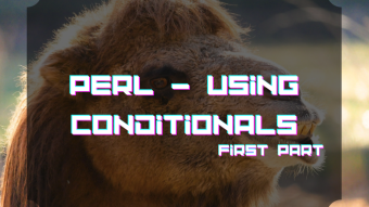 Perl - Using conditionals (first part)