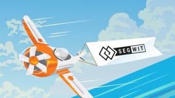 Over 54% of BTC transactions in 2020 use SegWit