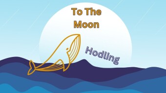 Is Hodling The Best Strategy For Everyone?