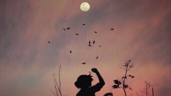 Wandering Mind